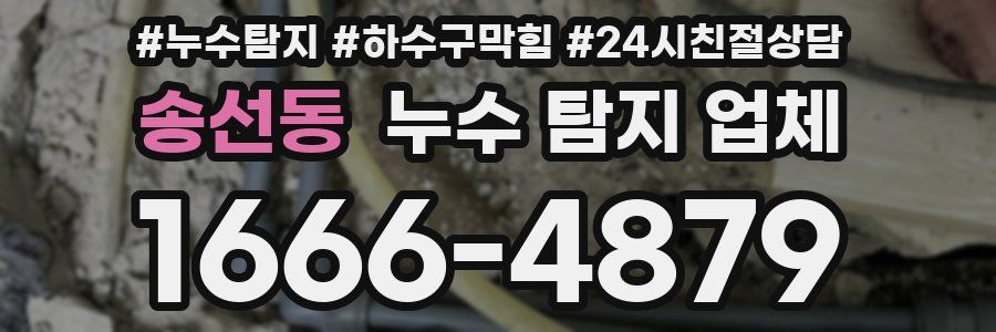 송선동 누수 탐지 업체