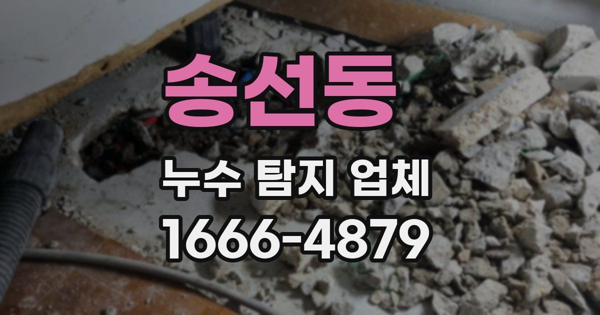 송선동 누수 탐지 업체