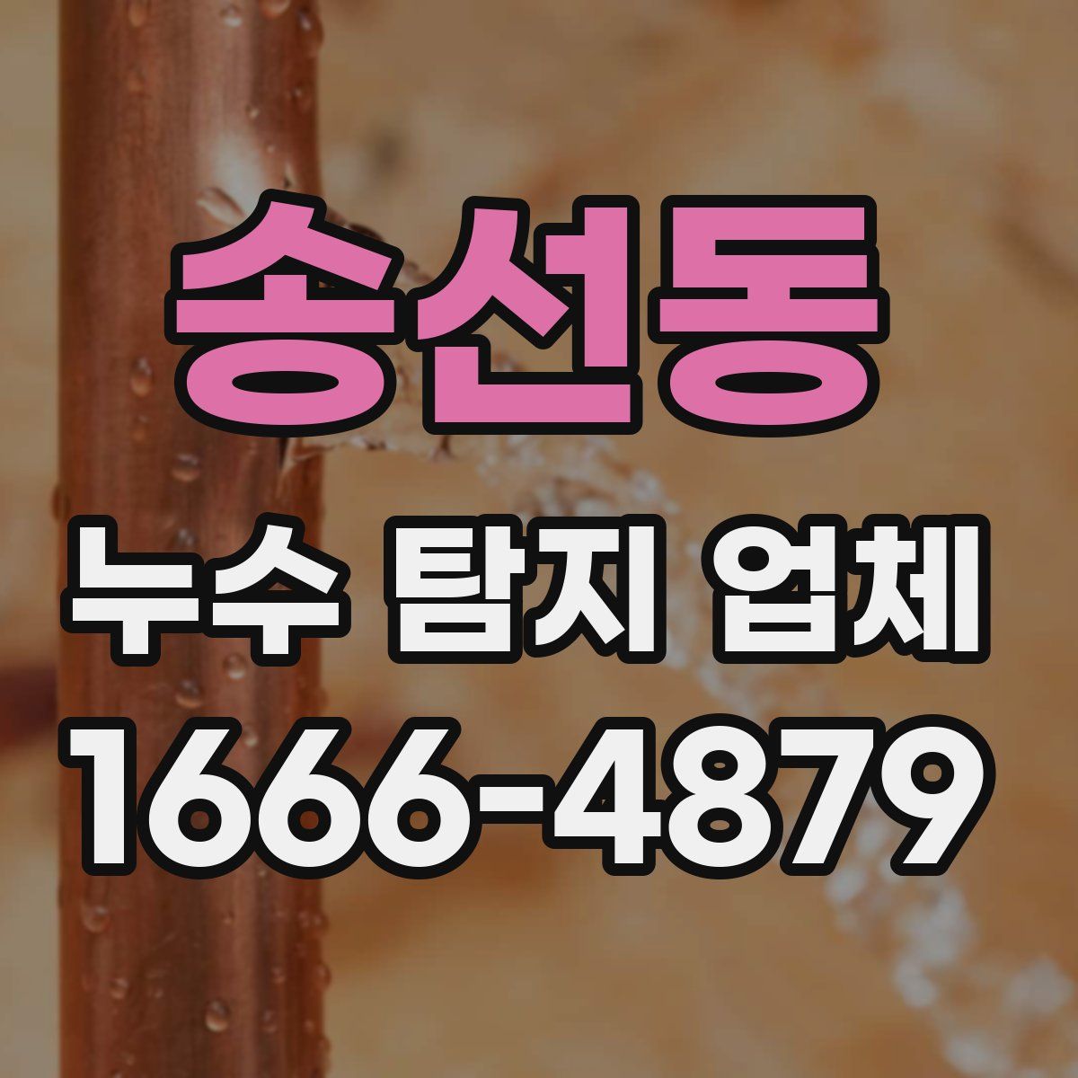 송선동 누수 탐지 업체