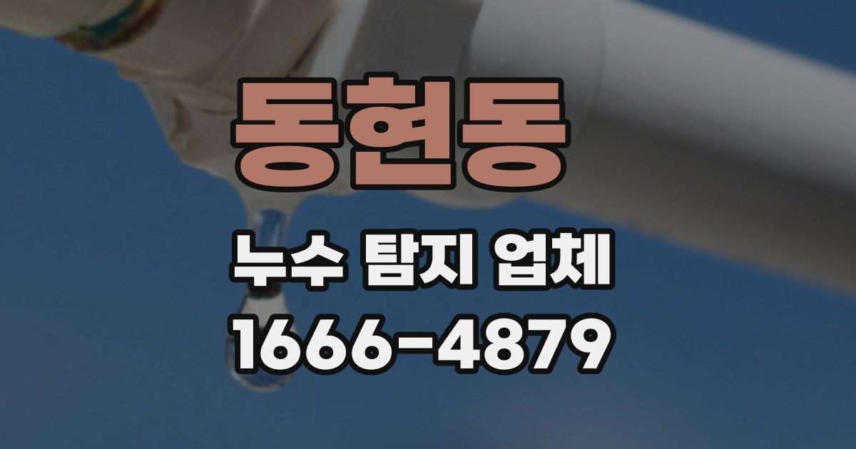 동현동 누수 탐지 업체