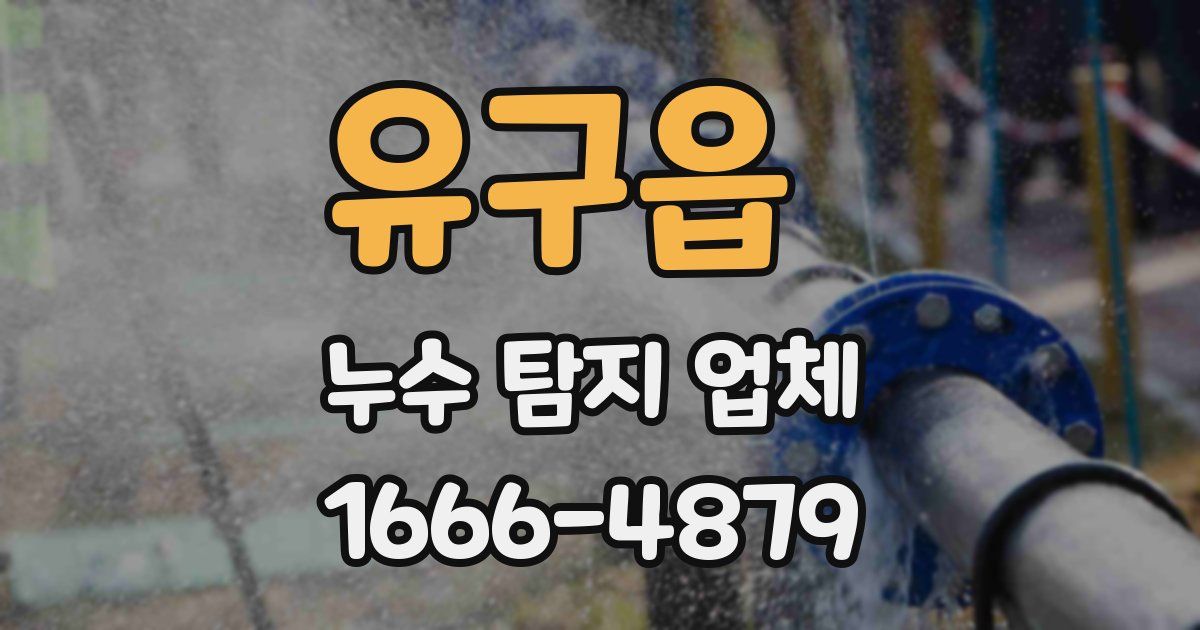 유구읍 누수 탐지 업체