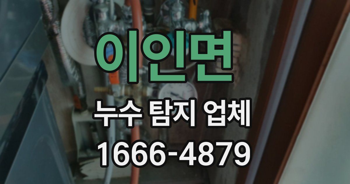이인면 누수 탐지 업체