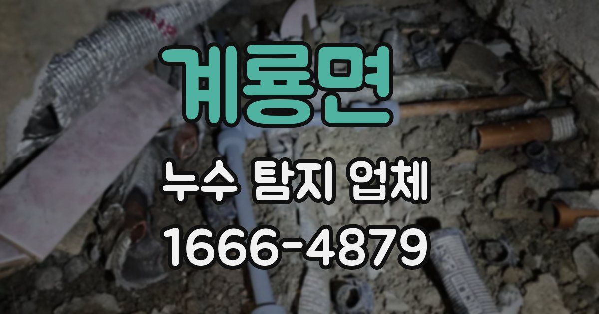 계룡면 누수 탐지 업체