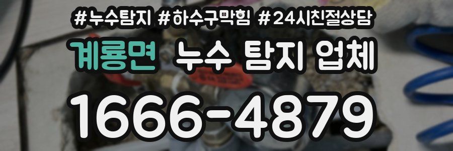 계룡면 누수 탐지 업체