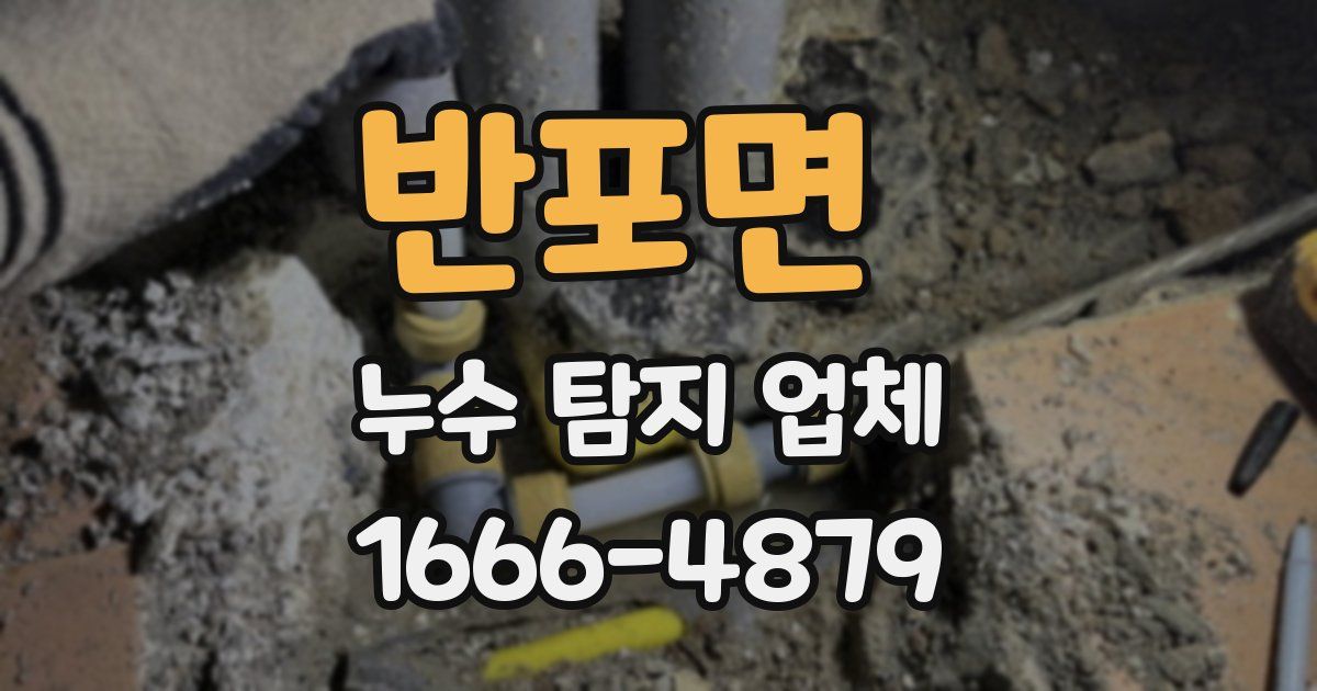 반포면 누수 탐지 업체
