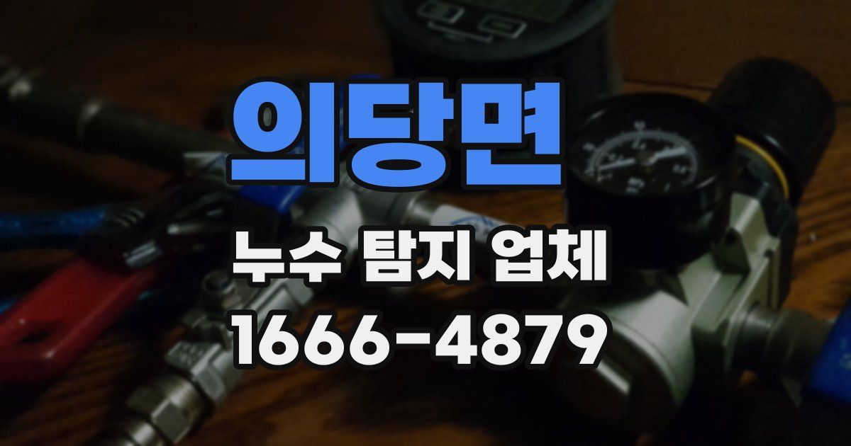 의당면 누수 탐지 업체