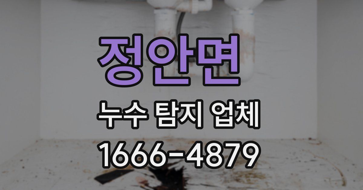 정안면 누수 탐지 업체