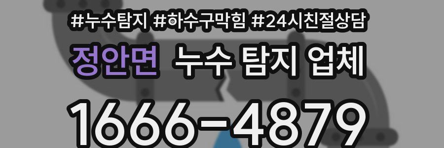 정안면 누수 탐지 업체