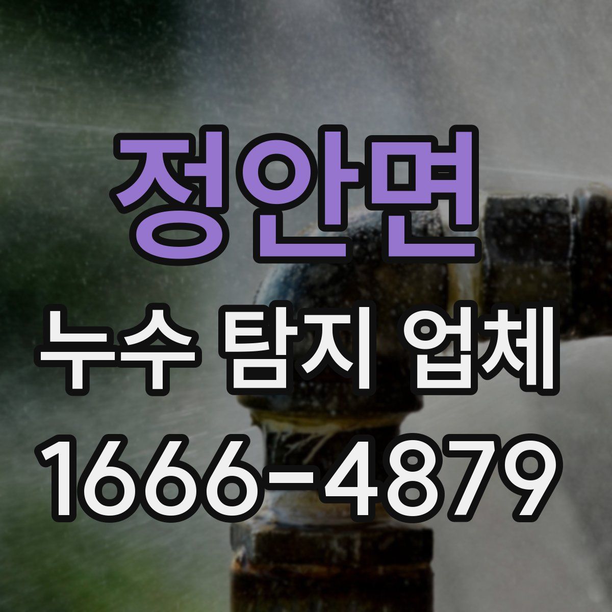 정안면 누수 탐지 업체