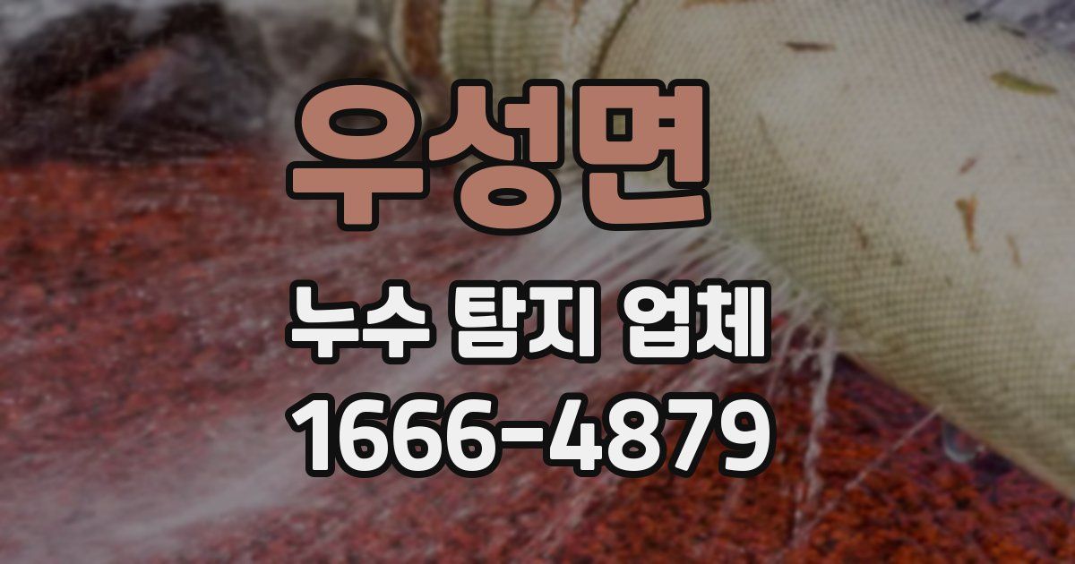 우성면 누수 탐지 업체