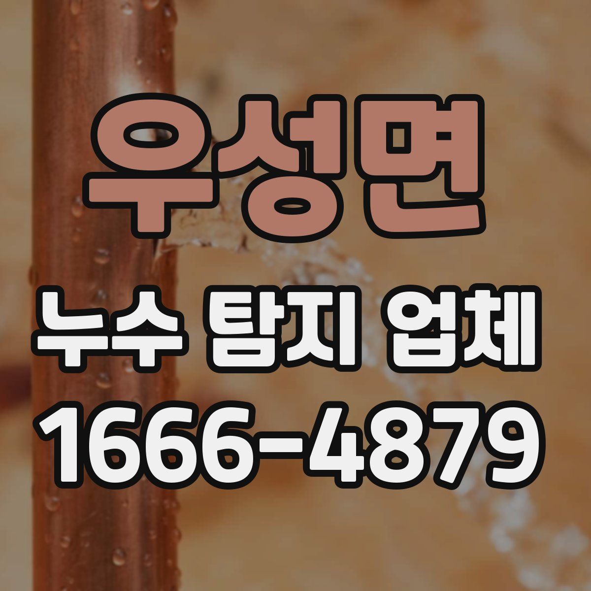 우성면 누수 탐지 업체