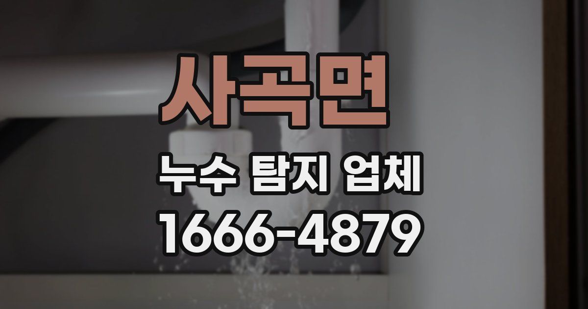 사곡면 누수 탐지 업체
