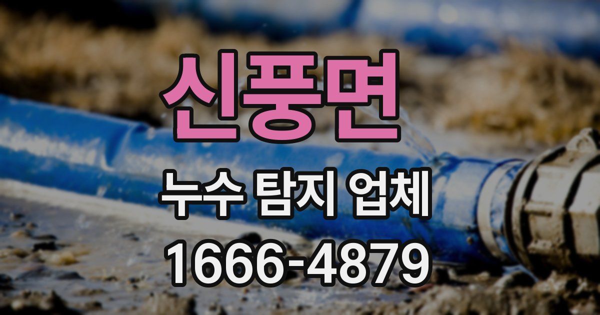 신풍면 누수 탐지 업체