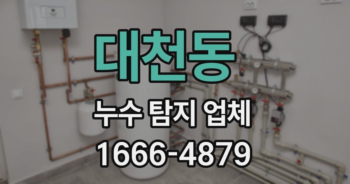 대천동 누수 탐지 업체