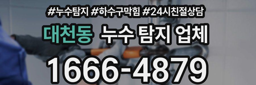 대천동 누수 탐지 업체