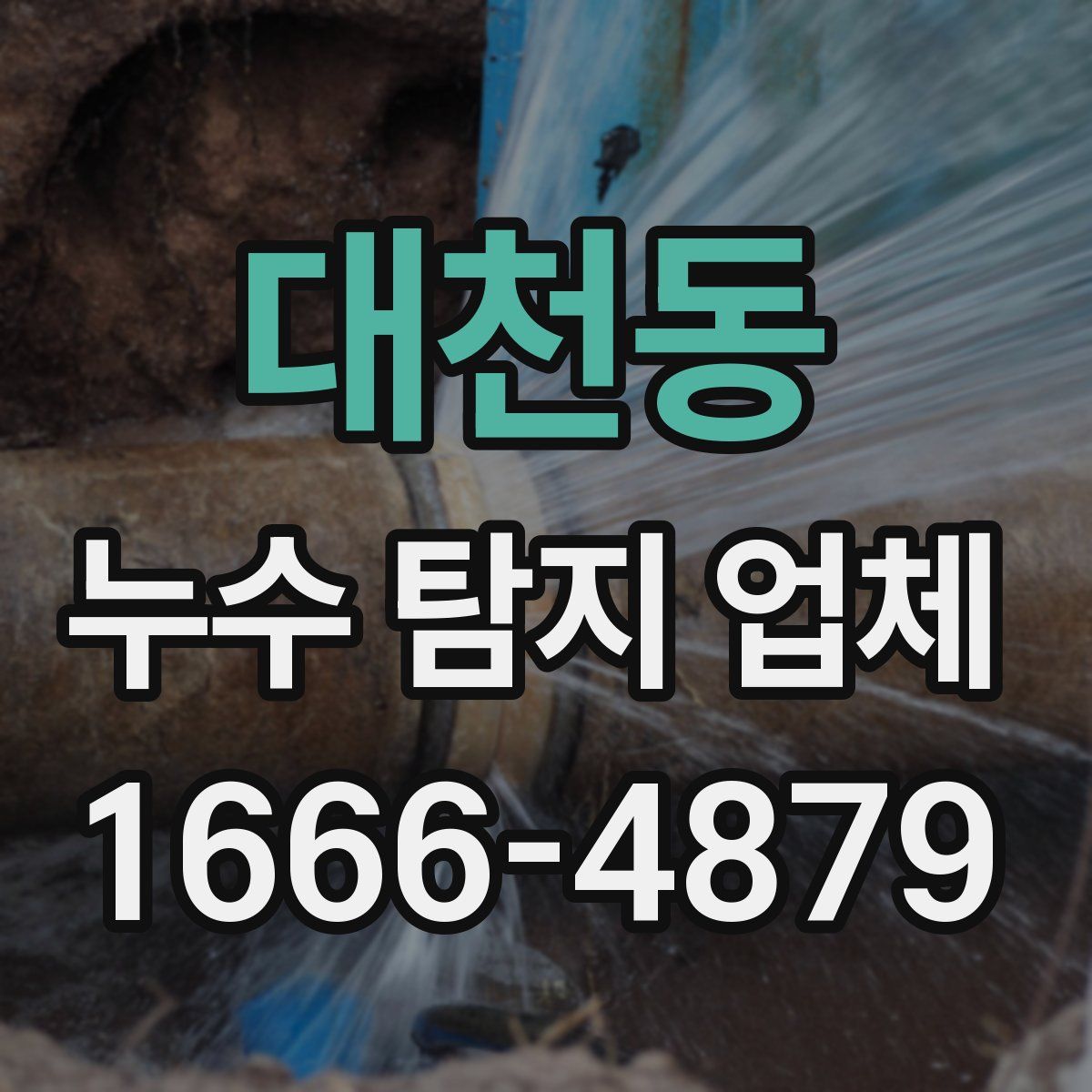 대천동 누수 탐지 업체