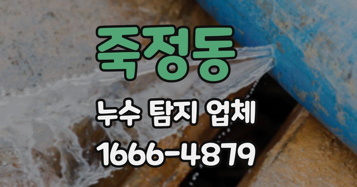 죽정동 누수 탐지 업체