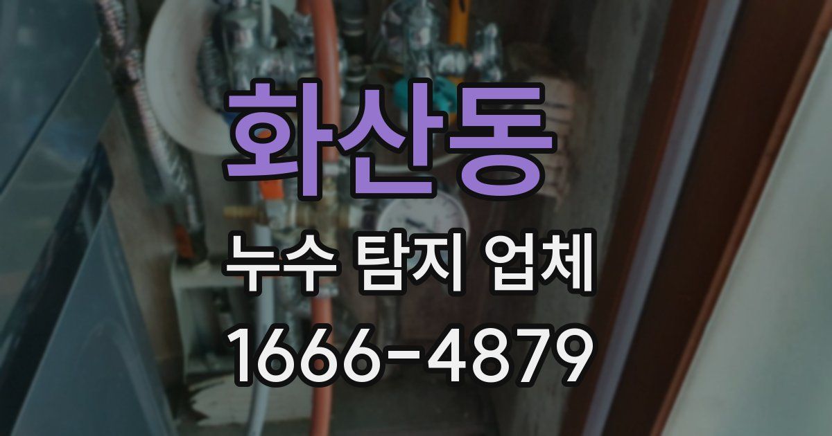 화산동 누수 탐지 업체