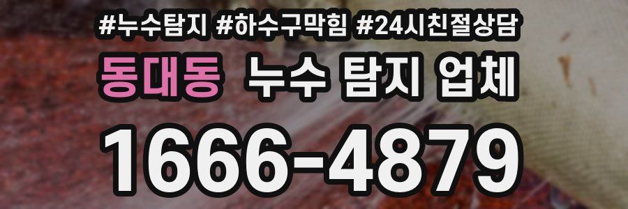 동대동 누수 탐지 업체