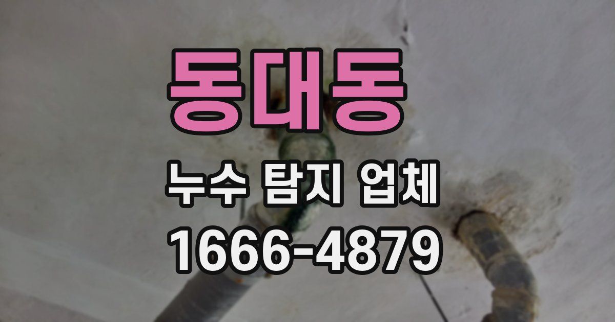 동대동 누수 탐지 업체