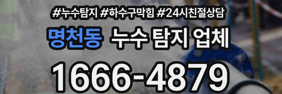 명천동 누수 탐지 업체