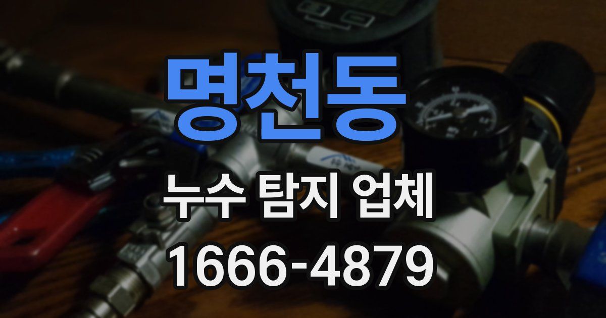 명천동 누수 탐지 업체
