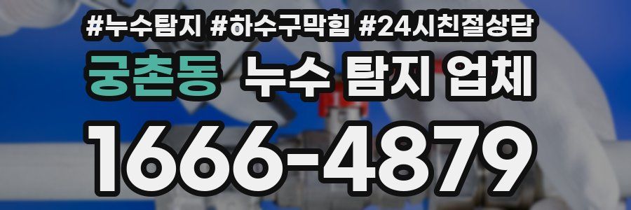 궁촌동 누수 탐지 업체