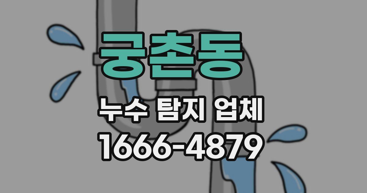 궁촌동 누수 탐지 업체