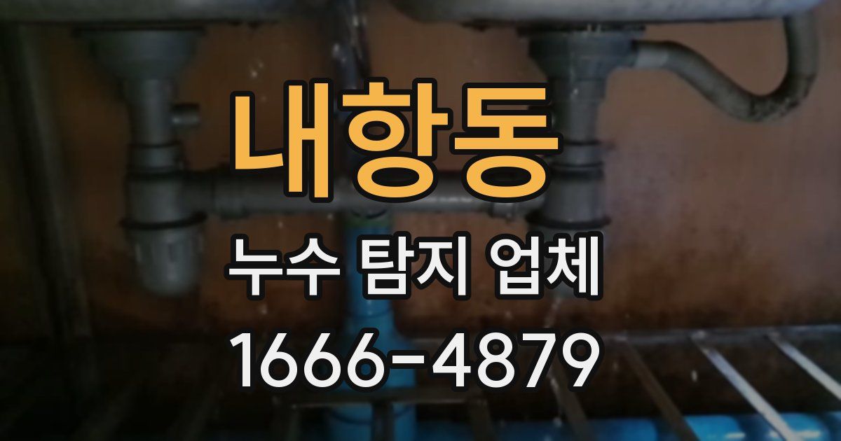 내항동 누수 탐지 업체