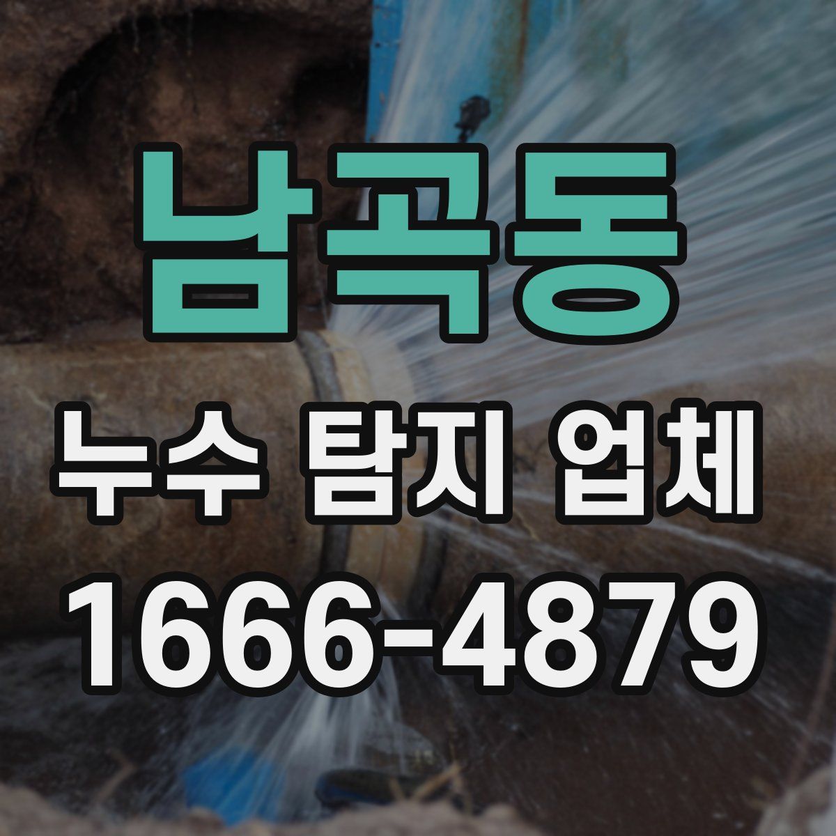 남곡동 누수 탐지 업체