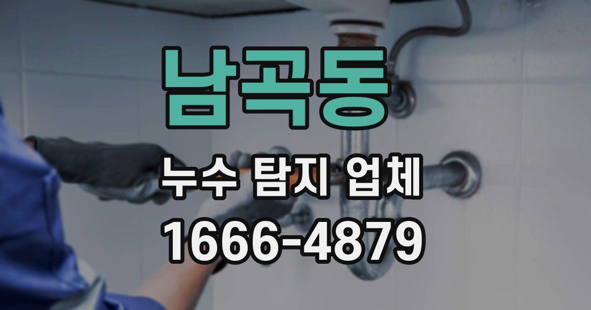 남곡동 누수 탐지 업체