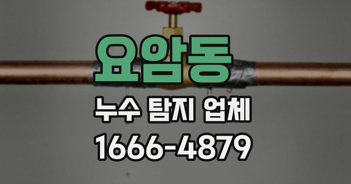 요암동 누수 탐지 업체
