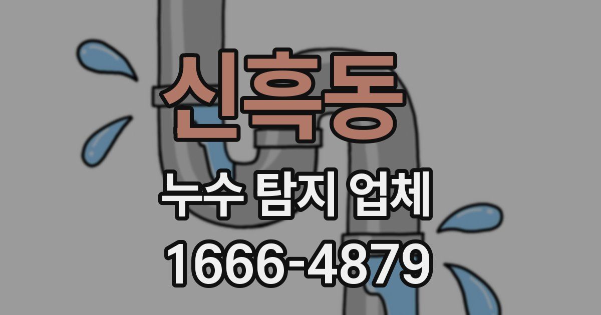 신흑동 누수 탐지 업체