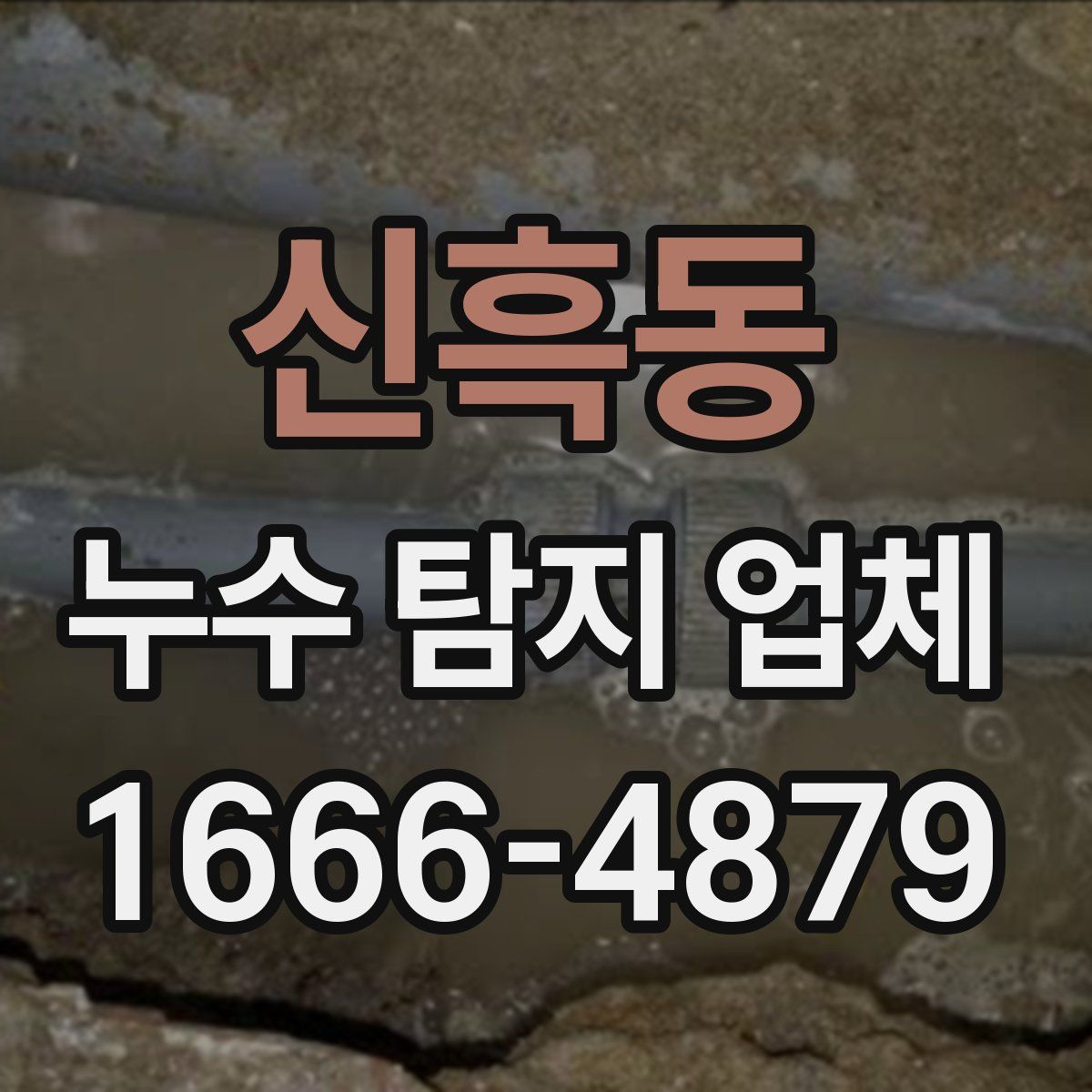 신흑동 누수 탐지 업체