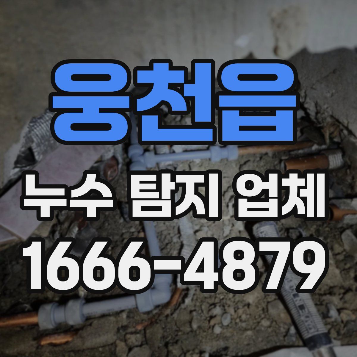 웅천읍 누수 탐지 업체