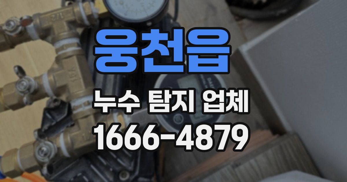 웅천읍 누수 탐지 업체