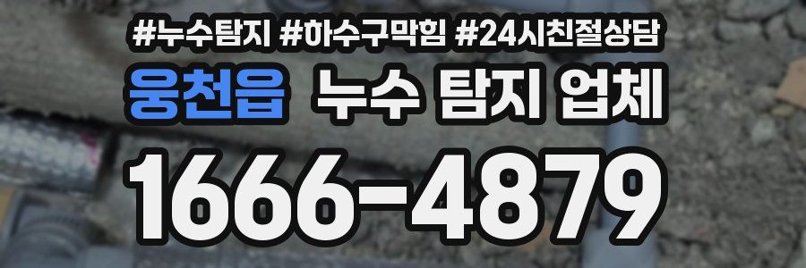 웅천읍 누수 탐지 업체