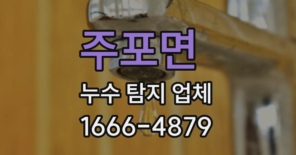 주포면 누수 탐지 업체
