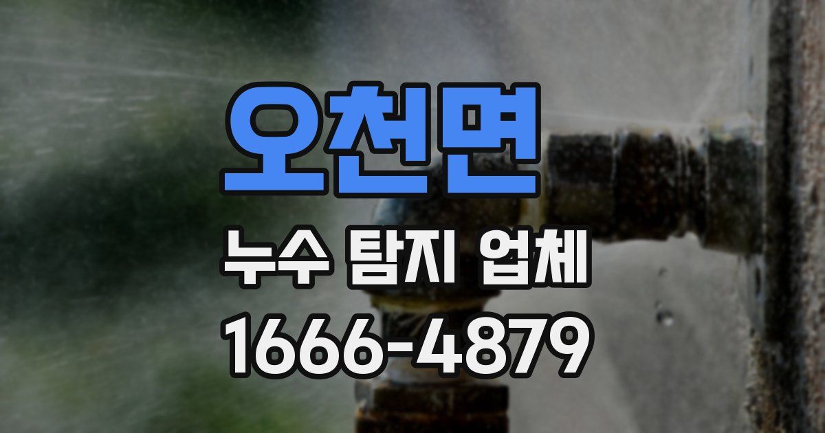 오천면 누수 탐지 업체