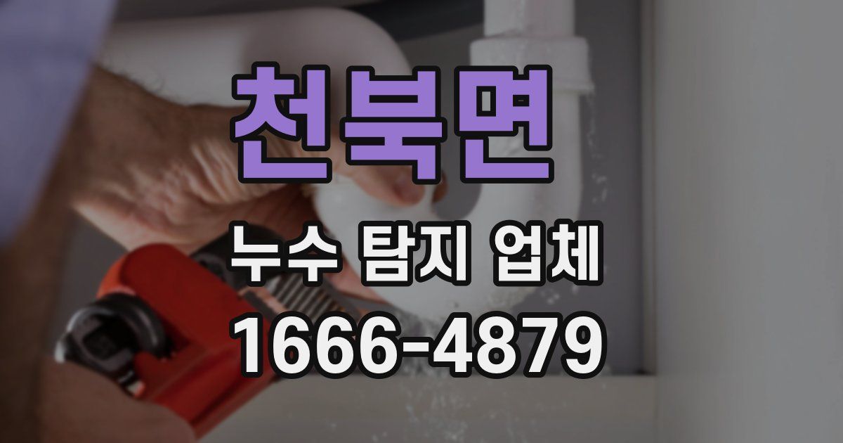 천북면 누수 탐지 업체