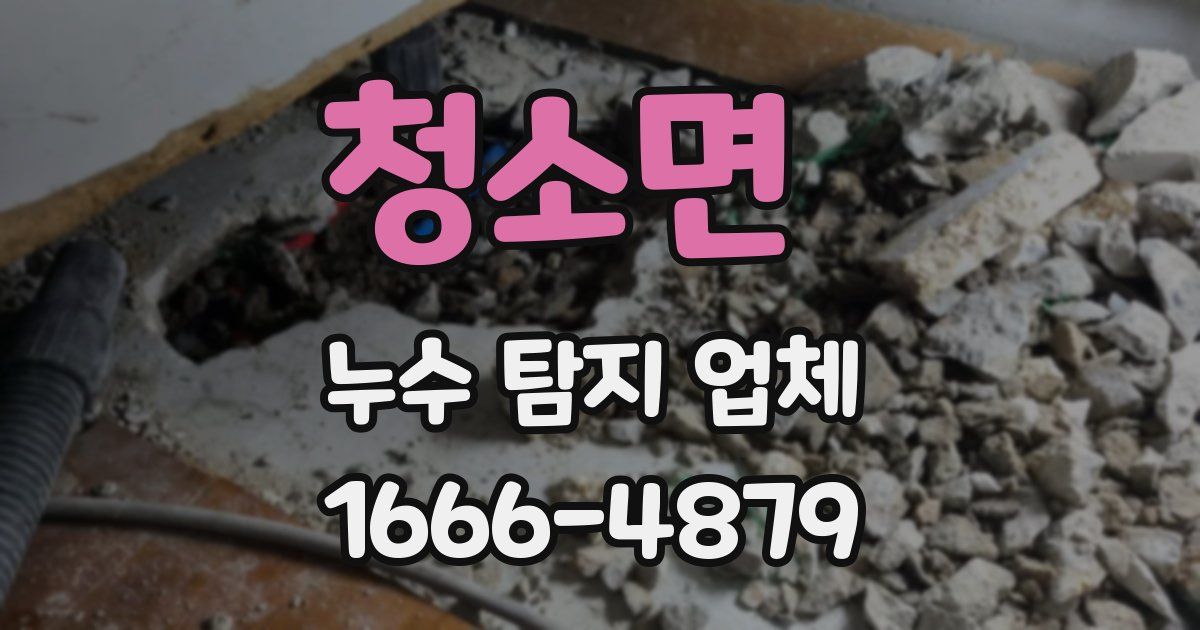 청소면 누수 탐지 업체