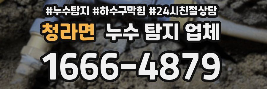 청라면 누수 탐지 업체