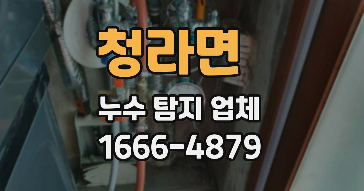 청라면 누수 탐지 업체