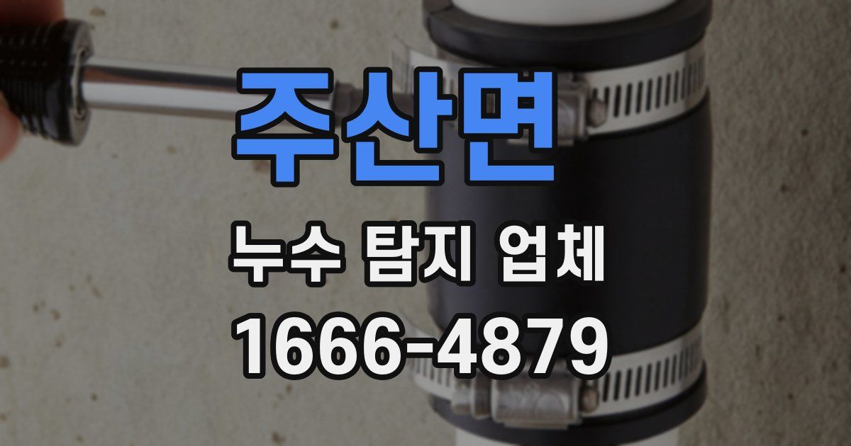 주산면 누수 탐지 업체