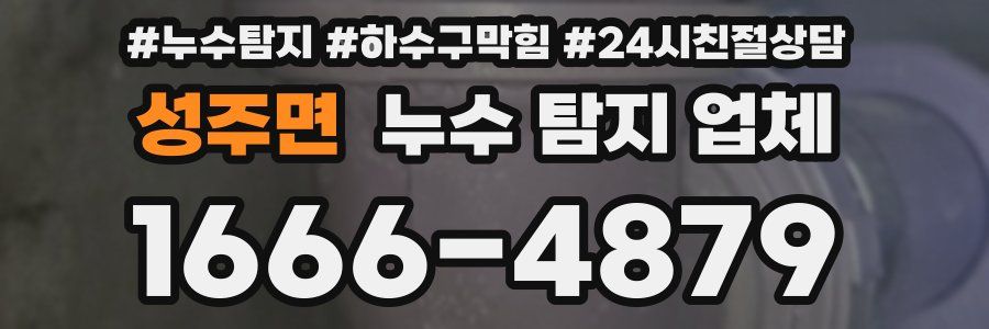 성주면 누수 탐지 업체