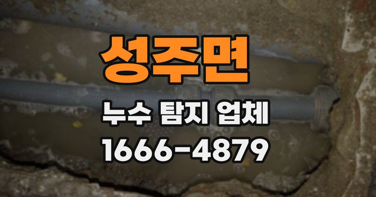 성주면 누수 탐지 업체