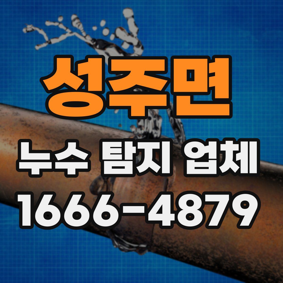 성주면 누수 탐지 업체