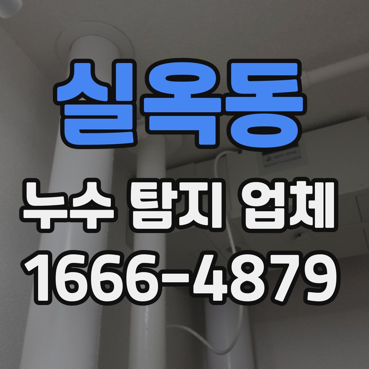 실옥동 누수 탐지 업체