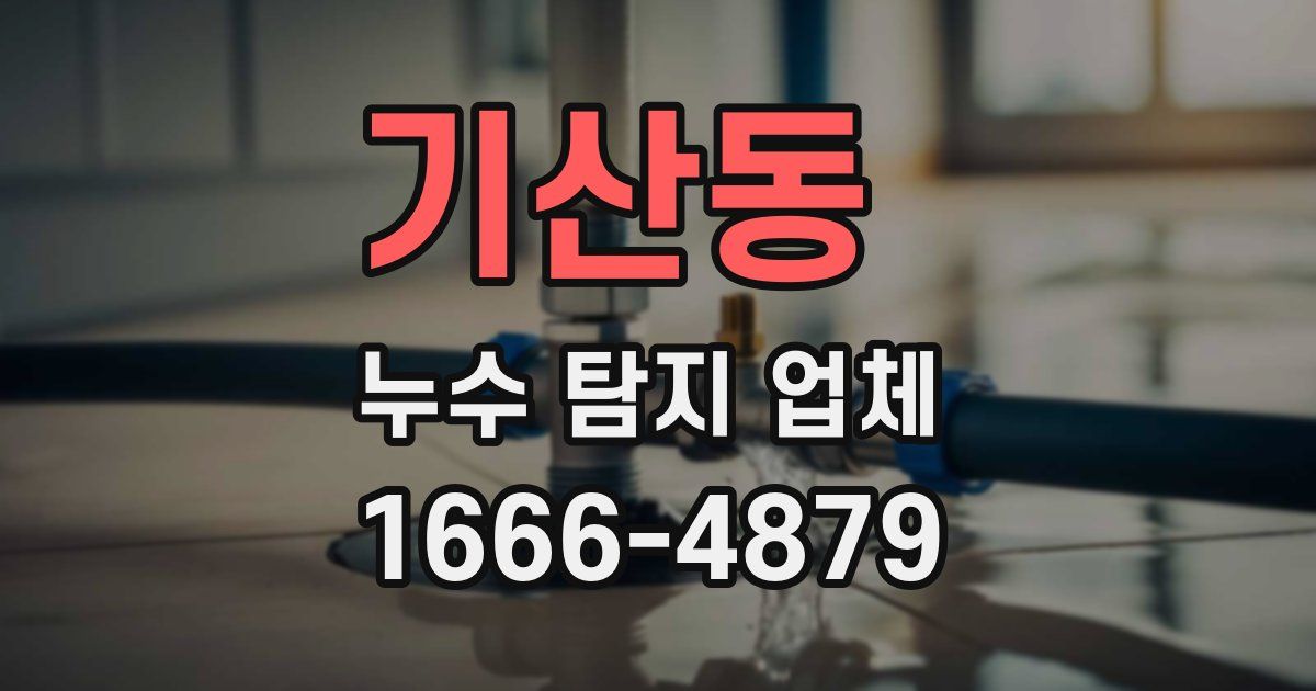 기산동 누수 탐지 업체