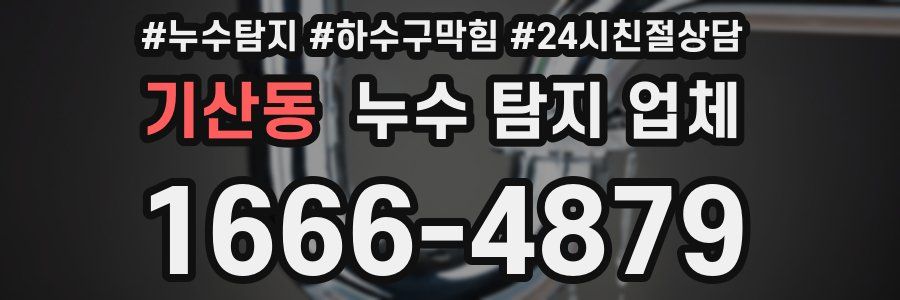 기산동 누수 탐지 업체